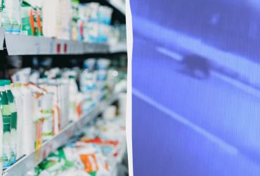 У Японії ведмідь захопив супермаркет на два дні (відео)