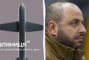 Ракета-дрон Паляниця: в Україні запустили серійний випуск