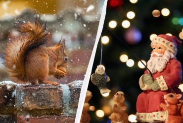 На Николая в Украине начнутся дожди и снег (карта)