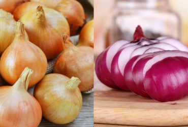 Лук останется свежим 6 месяцев, если хранить его подальше от таких продуктов