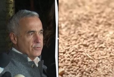 Экспорт украинского зерна через Румынию будет запрещен, - фаворит выборов президента