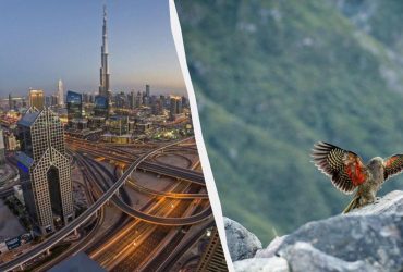 Туристам назвали найкращі напрямки світу для зимового сонця цього року