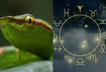 Рік Дерев'яної Змії стане переломним для семи знаків Зодіаку