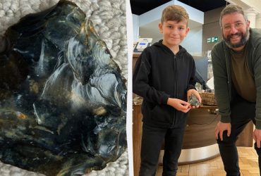 Ребенок нашел на пляже топор неандертальца возрастом 50 000 лет и хранил его у себя дома