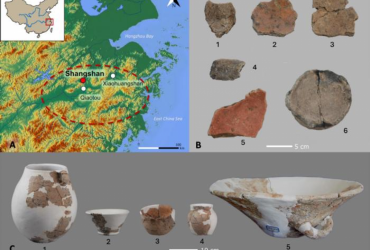 Археологи знайшли 10 000-річну кераміку для приготування пива: це змінило історію алкоголю