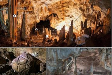 Таємничу скульптуру черепахи знайшли в печері Святої Землі через 35 000 років: люди могли їй поклонятися