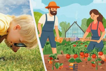 Що не так на городі: дуже простий тест для перевірки рівня IQ