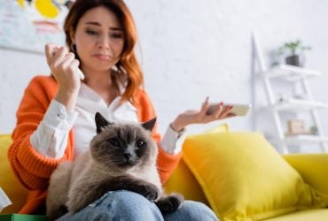Скільки часу потрібно кішці, щоб забути людину: пояснення експертів