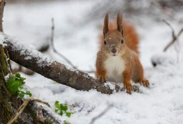 Сьогодні в Києві буде найтепліший день тижня, - прогноз