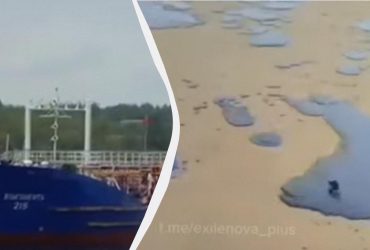 Не представляем всей беды: эколог о последствиях аварии танкеров РФ в Керченском проливе