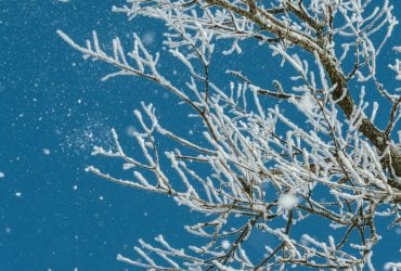 14 січня замети в Україні стануть ще більшими: де сніжитиме