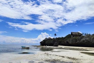 Что произойдет, если Африканский континент разделится: ученые ошеломили прогнозом