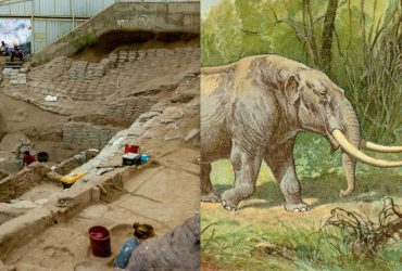 Жили з мастодонтами: вчені зробили важливе відкриття про прибуття перших людей в Америку