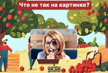 Невероятный вызов для мозга: надо найти грубую ошибку в саду за 5 секунд