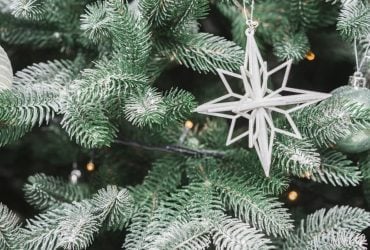 Стало известно, будет ли снег на Рождество в Днепре (график)