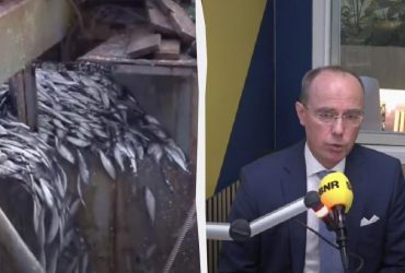 РФ зарабатывает на продаже рыбы 7 миллиардов евро в год, - консул Украины в Нидерландах