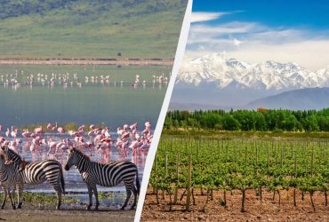 Від сафарі до вина: Lonely Planet розповів, куди варто поїхати в лютому 2025 року