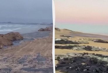 В РФ движуха: мазут с танкеров Волгонефть идет на Сочи