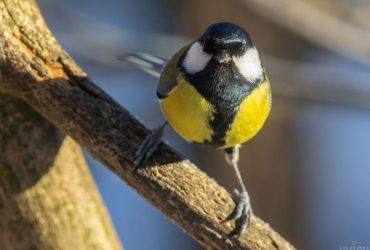 30 декабря в Украине станет немного теплее (карта)