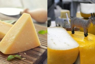 Не запліснявіє і не висохне: лайфхаки, як зберігати твердий сир довше