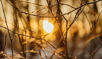 10 березня по всій Україні стане ще тепліше