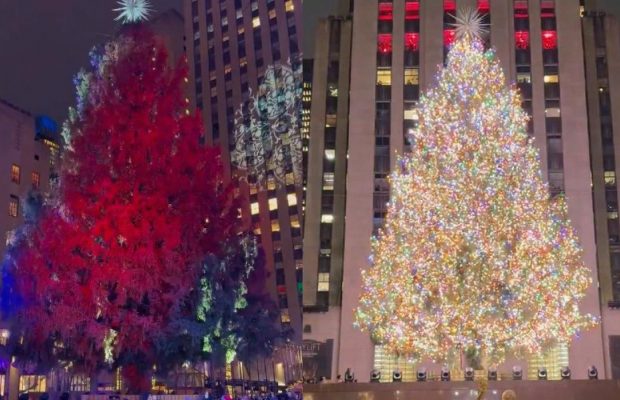 У Нью-Йорку запалили найвідомішу різдвяну ялинку у світі: яка вона цього року (відео)