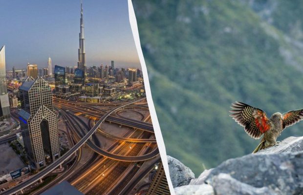 Туристам назвали найкращі напрямки світу для "зимового сонця" цього року