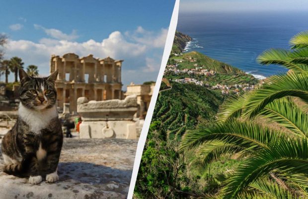 Стало відомо, які країни та міста туристи найчастіше шукали в Google у 2024 році