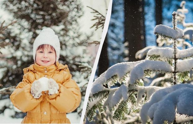 Что нельзя и что нужно сделать 17 декабря 2024: важная примета для родителей