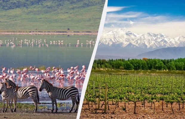 Від сафарі до вина: Lonely Planet розповів, куди варто поїхати в лютому 2025 року