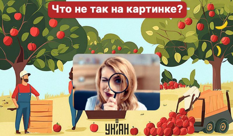 Найдите ошибку в саду за 5 секунд / коллаж УНИАН, фото ua.depositphotos.com