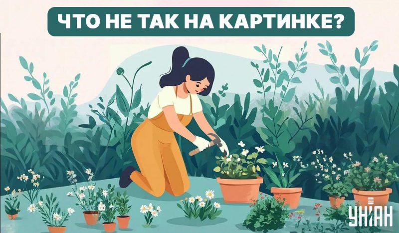 Попробуйте найти ошибку / Коллаж - УНИАН