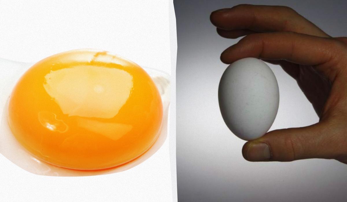 Темно-оранжевый желток не обязательно лучше бледно-желтого, утверждают исследователи / коллаж УНИАН, фото, ua.depositphotos.com, REUTERS