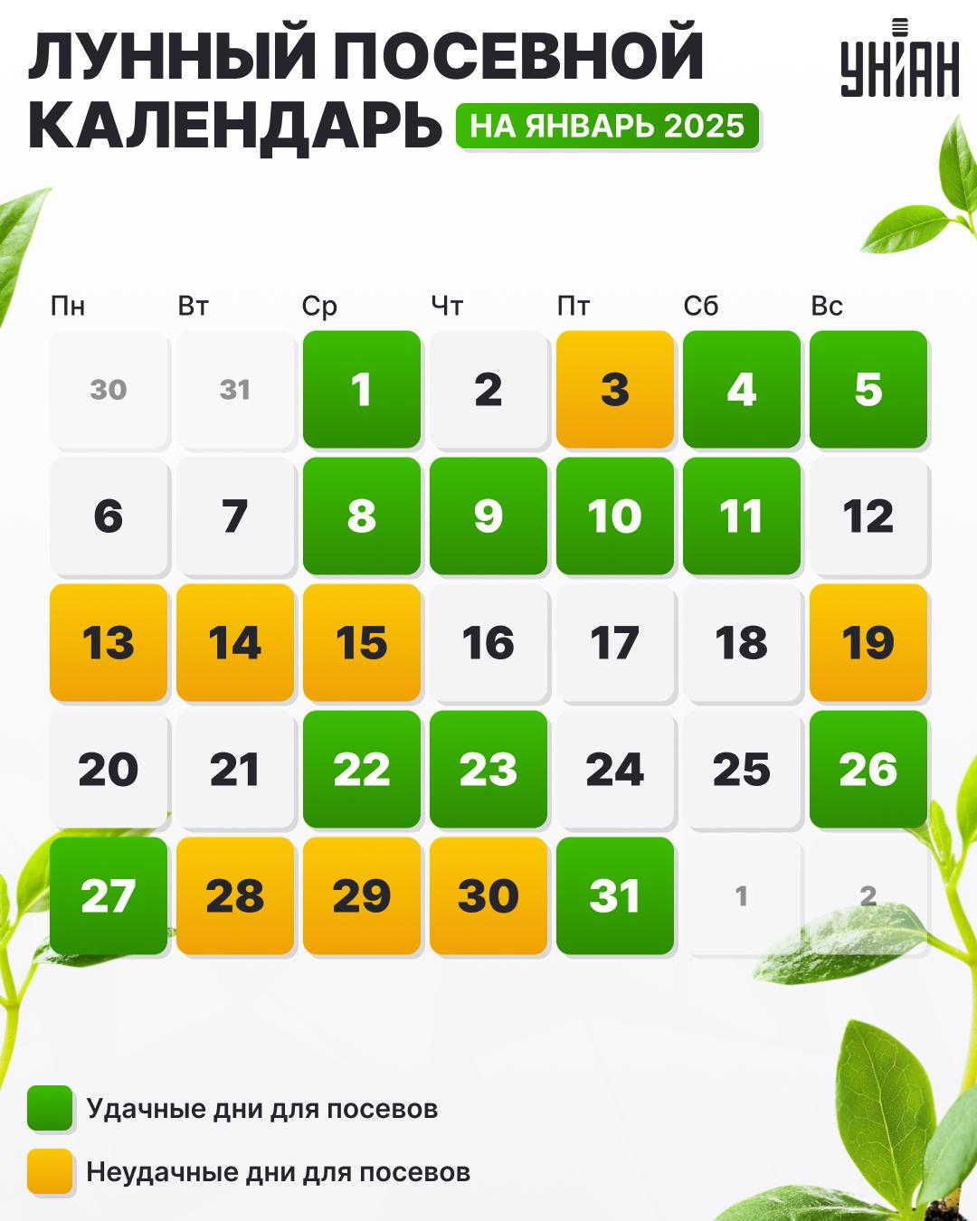 Посевной календарь на январь 2025 года таблица / картинка УНИАН Посевной календарь на январь 2025 года таблица / картинка УНИАН