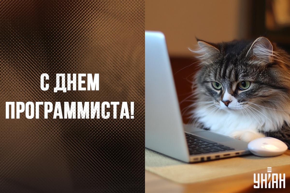 День программиста в Украине / картинка УНИАН День программиста в Украине / картинка УНИАН