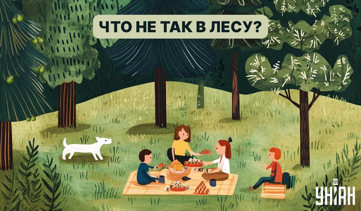 Надо найти ошибку в лесу за 5 секунд: быстрый тест для проверки IQ Надо найти ошибку в лесу за 5 секунд: быстрый тест для проверки IQ