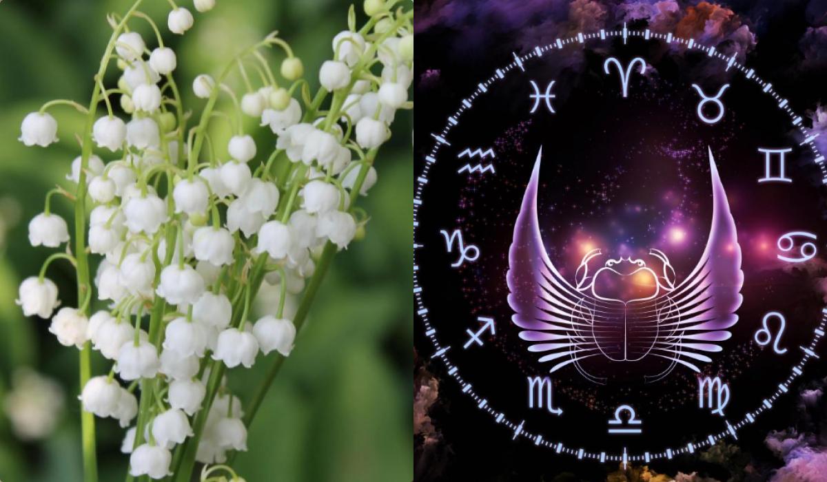 Узнайте, на какой цветок вы похожи по знаку Зодиака / коллаж УНИАН, фото pixabay.com, ua.depositphotos.com Узнайте, на какой цветок вы похожи по знаку Зодиака / коллаж УНИАН, фото pixabay.com, ua.depositphotos.com