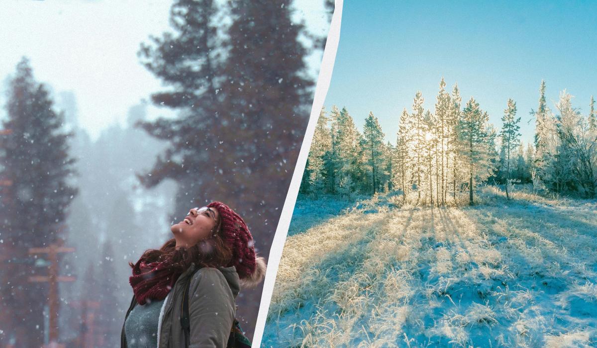 Що сьогодні за свято / колаж УНІАН, фото pexels, pixabay Що сьогодні за свято / колаж УНІАН, фото pexels, pixabay