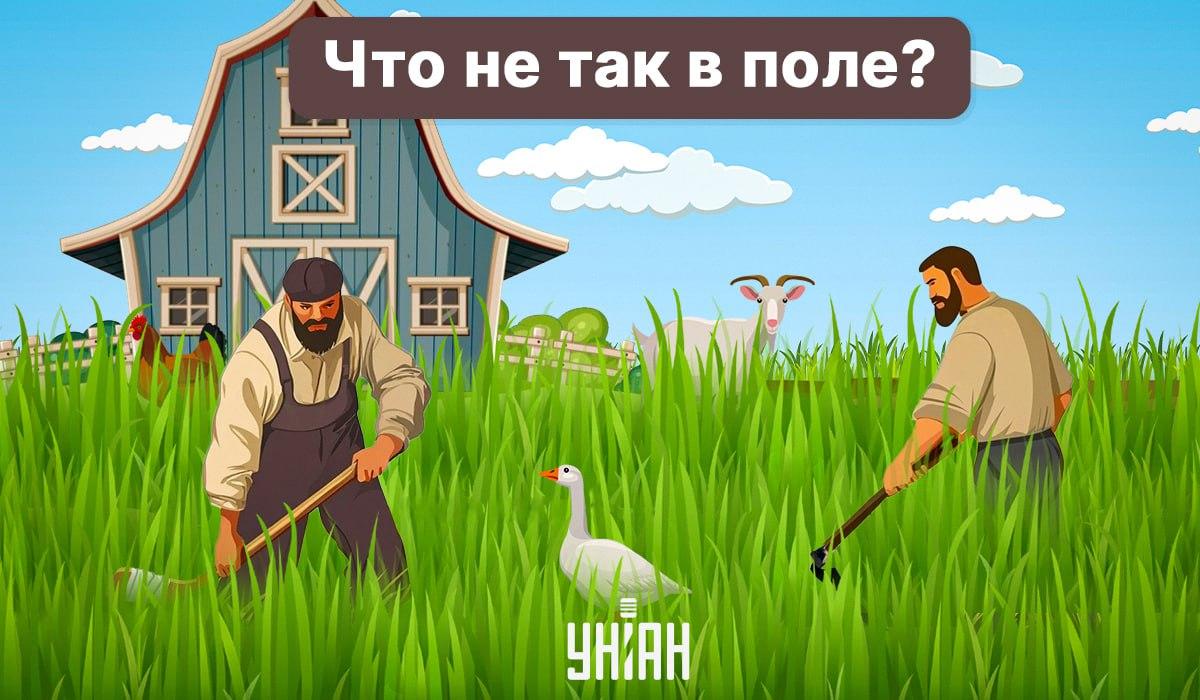 Простой тест на внимательность: надо отыскать 'ляп' за 6 секунд Простой тест на внимательность: надо отыскать 'ляп' за 6 секунд