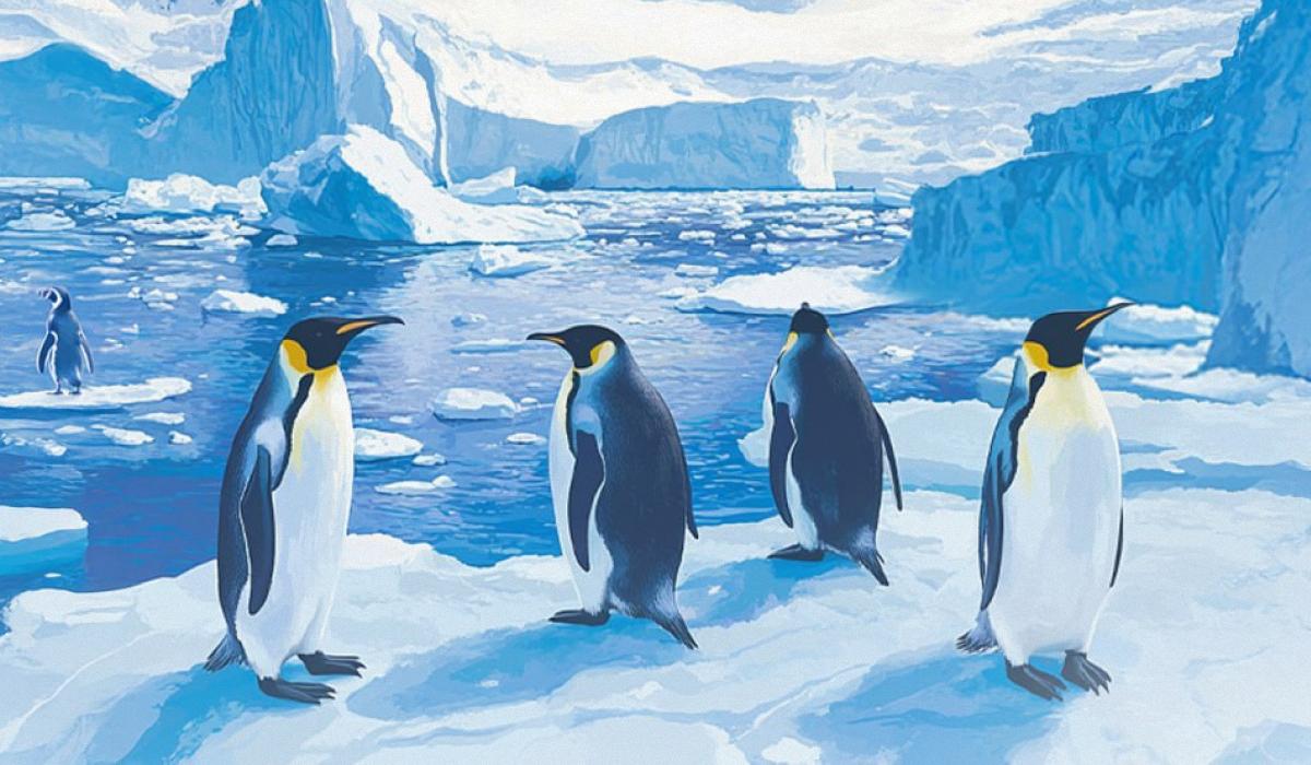 Что здесь не так - головоломка / коллаж УНИАН