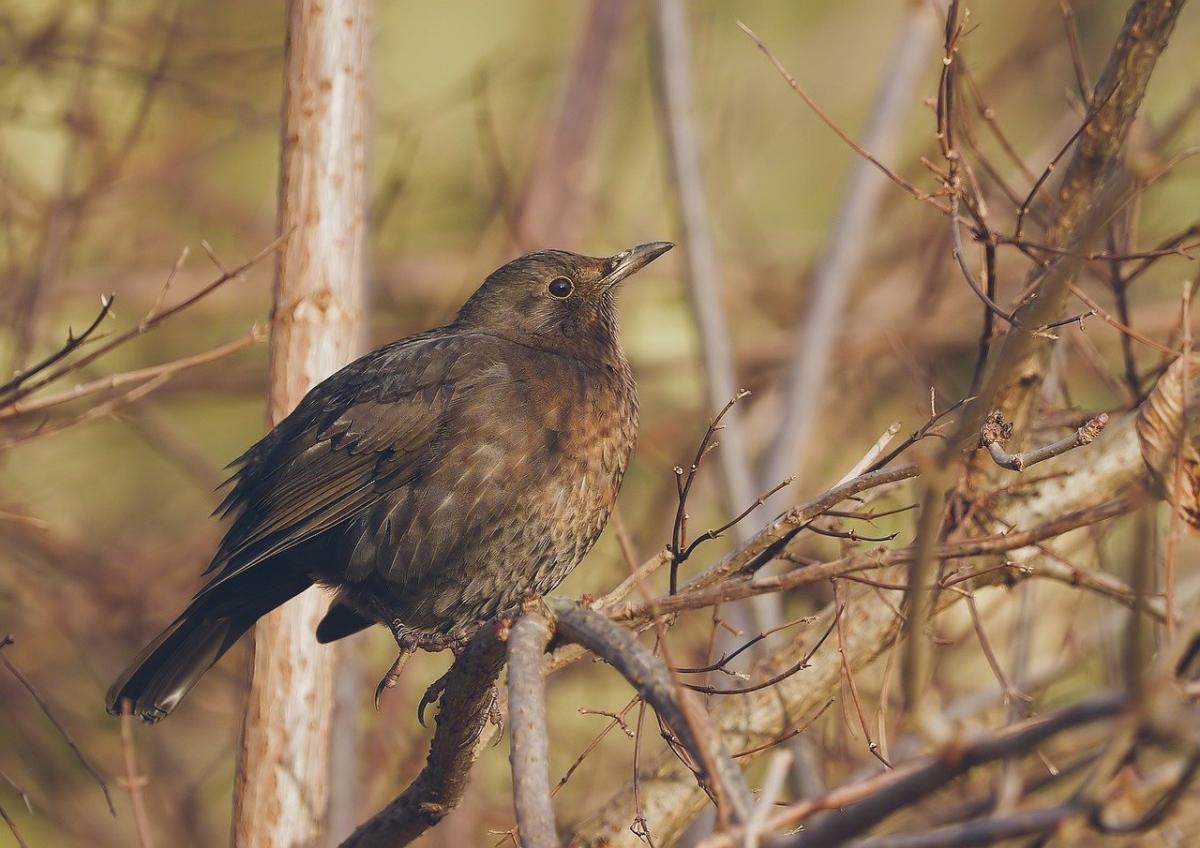 Что за праздник сегодня / фото Pixabay Что за праздник сегодня / фото Pixabay