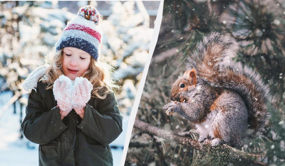 Що сьогодні за свято / колаж УНІАН, фото ua.depositphotos.com, pexels Що сьогодні за свято / колаж УНІАН, фото ua.depositphotos.com, pexels