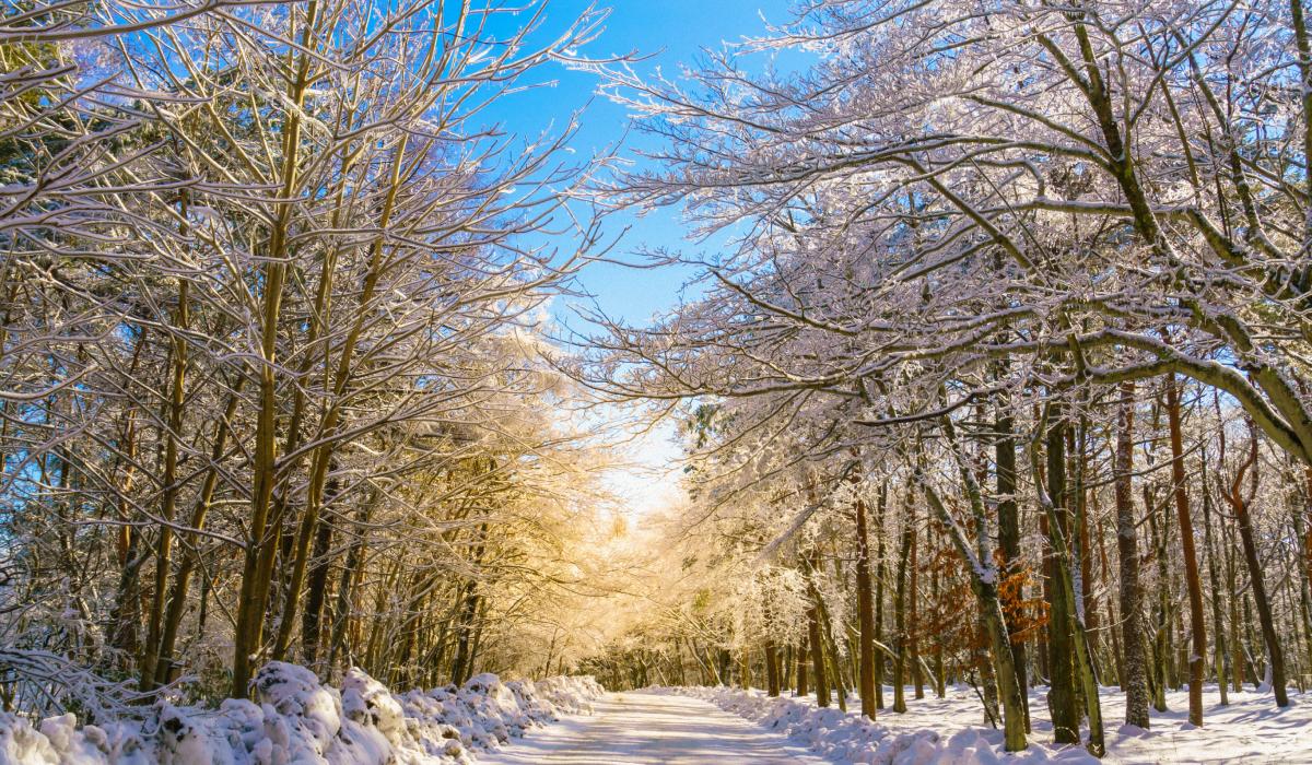 Прикмети 19 січня