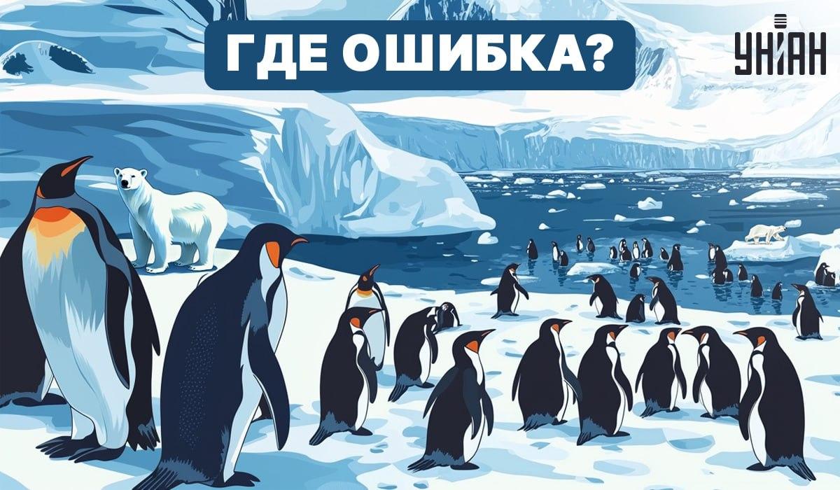Сможете ли вы понять, что не так на картинке? / УНИАН Сможете ли вы понять, что не так на картинке? / УНИАН