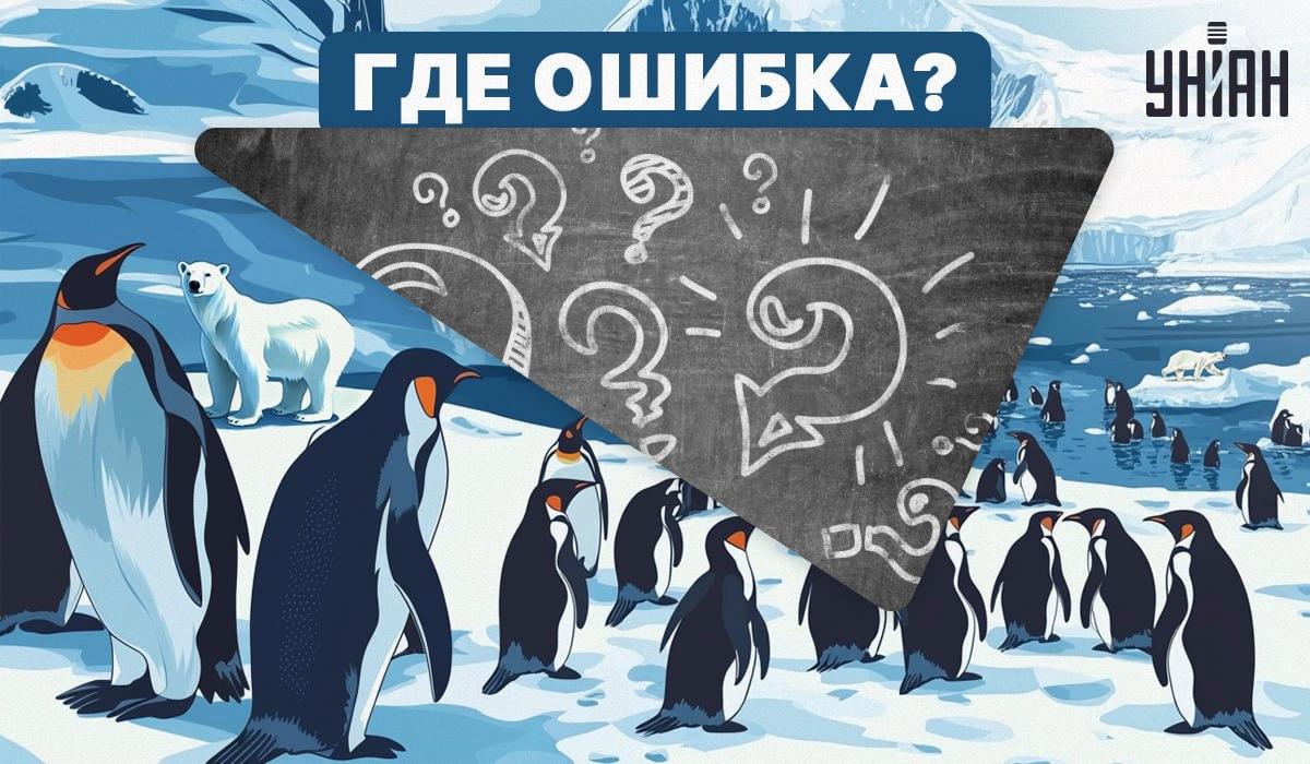 Попробуйте найти ошибку на этой картинке / Коллаж УНИАН, ua.depositphotos.com, УНИАН Попробуйте найти ошибку на этой картинке / Коллаж УНИАН, ua.depositphotos.com, УНИАН