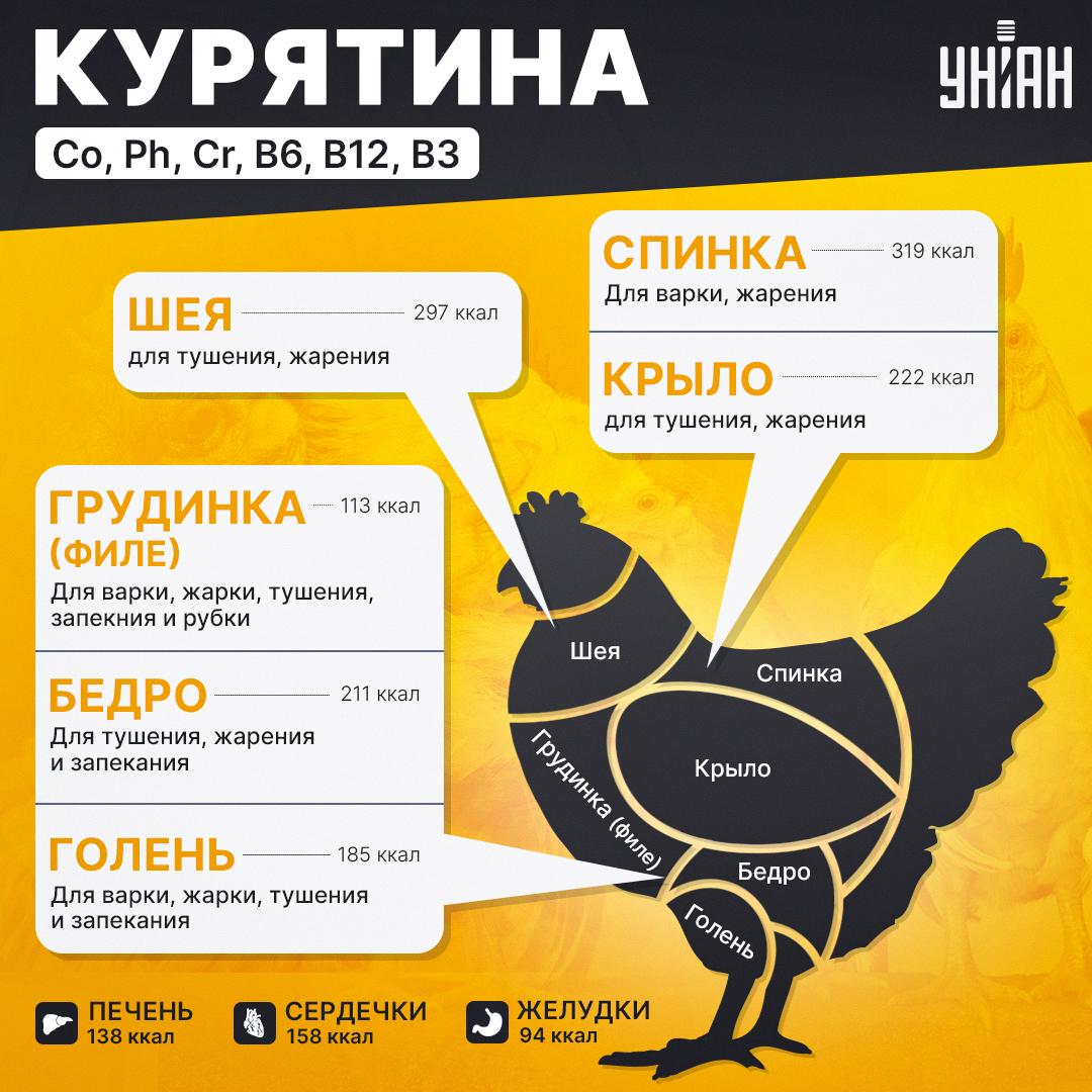 Разбор тушки курицы / инфографика УНИАН Разбор тушки курицы / инфографика УНИАН