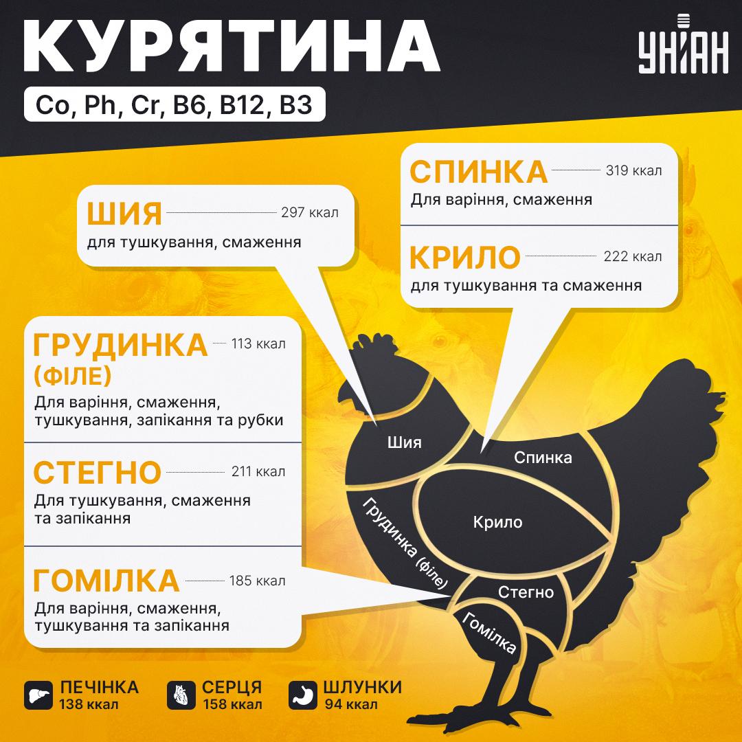 Яку частину курки вигідніше купувати і для яких страв: повний розбір тушки (інфографіка) Яку частину курки вигідніше купувати і для яких страв: повний розбір тушки (інфографіка)
