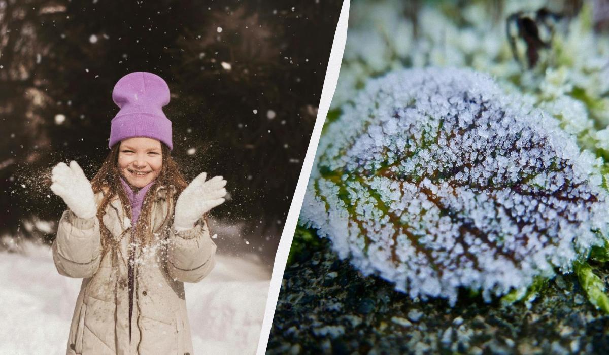 Что сегодня за праздник / коллаж УНИАН, фото pexels Что сегодня за праздник / коллаж УНИАН, фото pexels