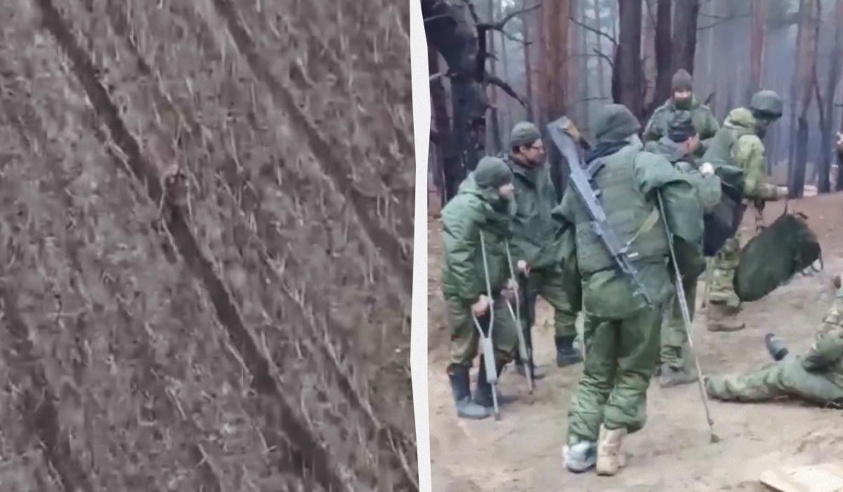 Те, що для Заходу - дикість, для Росії - чіткий розрахунок / Колаж УНІАН, скріншоти Те, що для Заходу - дикість, для Росії - чіткий розрахунок / Колаж УНІАН, скріншоти