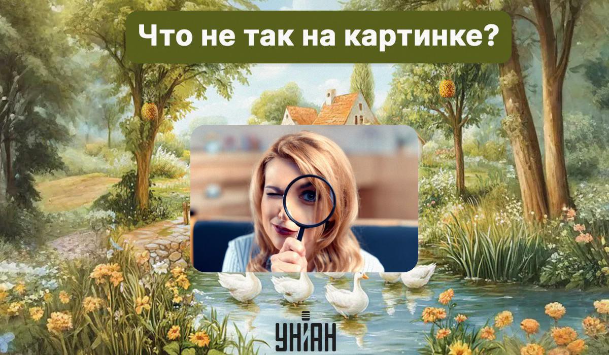 Надо найти грубую ошибку на картинке за 5 секунд: быстрый тест для проверки IQ Надо найти грубую ошибку на картинке за 5 секунд: быстрый тест для проверки IQ